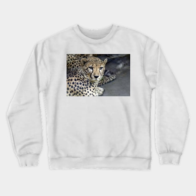 CHEETAH Crewneck Sweatshirt by dongila5